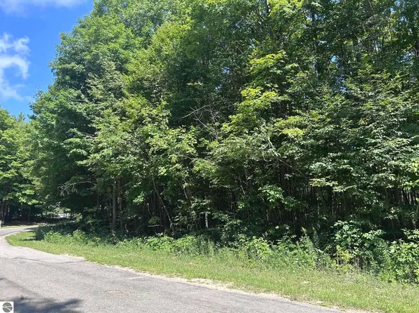 0 Antioch Dr, Mesick, MI 49668
