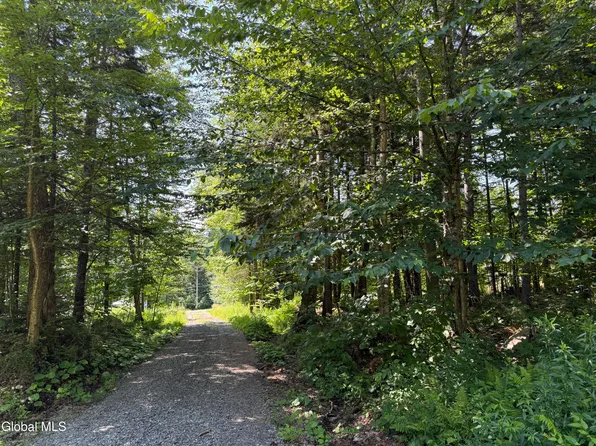 120 Jim's Hill Road, Speculator, NY 12108