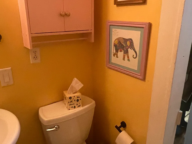 72 Meads Mountain Rd #1 — Photo 13