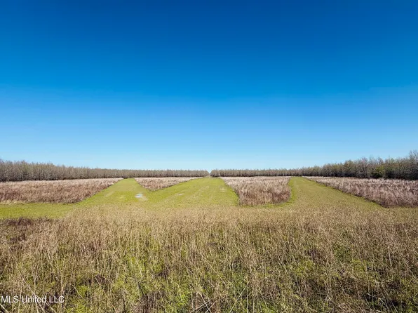 0 Priddy Rd, Rolling Fork, MS 39159