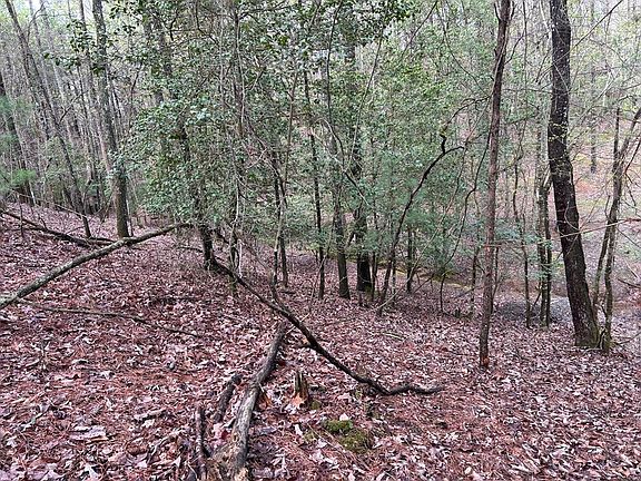 4th image of LOT 2756 Medina Ct