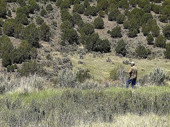 E part of property, N view