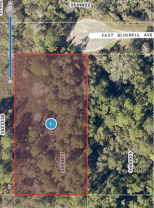 2nd image of E Bluebell Ave