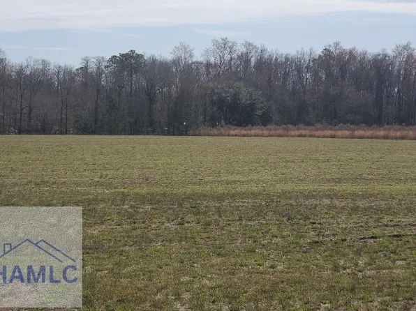 3 Groover Rd, Ludowici, GA 31316