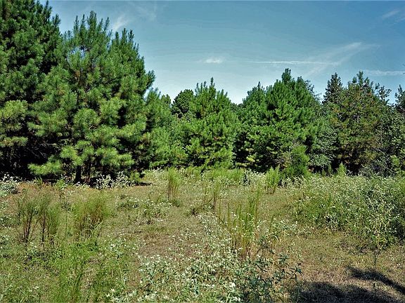 4th image of 12410 State Highway 110 N