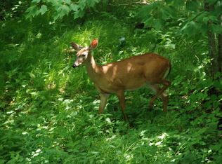 123 Upper Snowbird Trl, Banner Elk, NC 28604