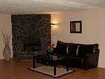 Fireplace in LR