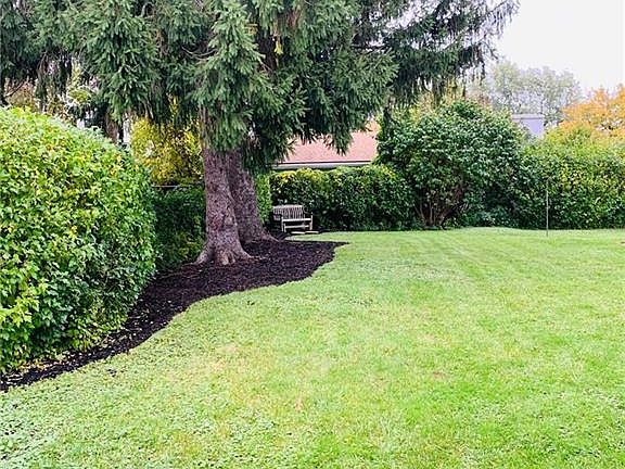 3rd image of 175 Melrose St