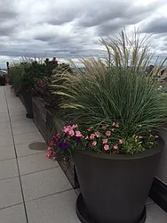 Rented by Taylor Made Brokerage, Inc