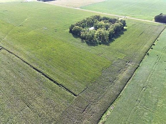 35 Acres of Farmland - Parcel 1
