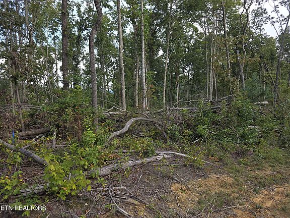 4th image of LOT 10 Mill Creek Rd