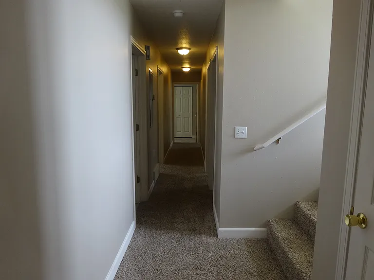 1305 Roosevelt St #2 — Photo 5