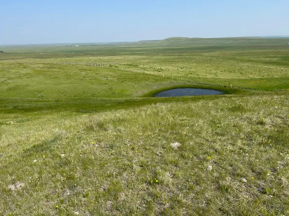 U Bet Rd, Buffalo, MT 59418