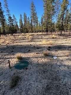 3rd image of Pinewood Pl #22