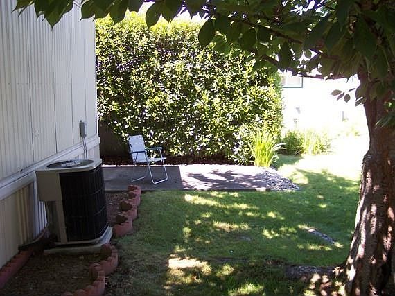 Shady backyard
