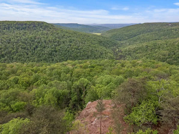 43 Overlook Pl, Monterey, TN 38574