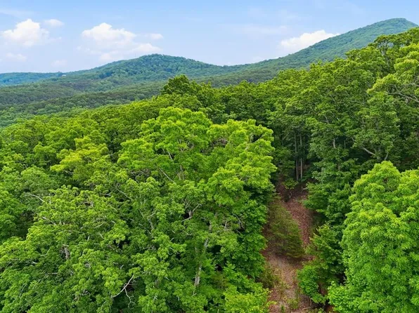 0 Owl Ridge Way, Jasper, GA 30143