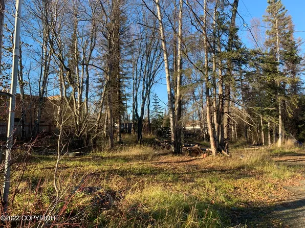 0 Dorbrandt St, Anchorage, AK 99503