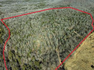 35 Ridge Rd, Hardy, AR 72542