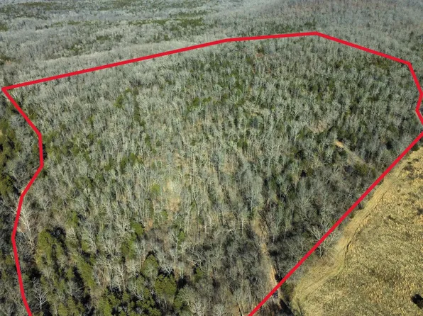 35 Ridge Rd, Hardy, AR 72542