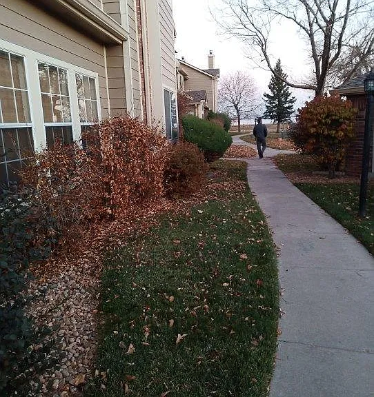Front walkway into Building C
