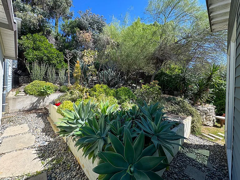 3050 Knob Dr — Photo 20