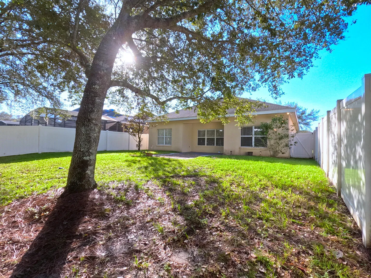 11213 Cypress Trail Drive - 1 — Photo 4
