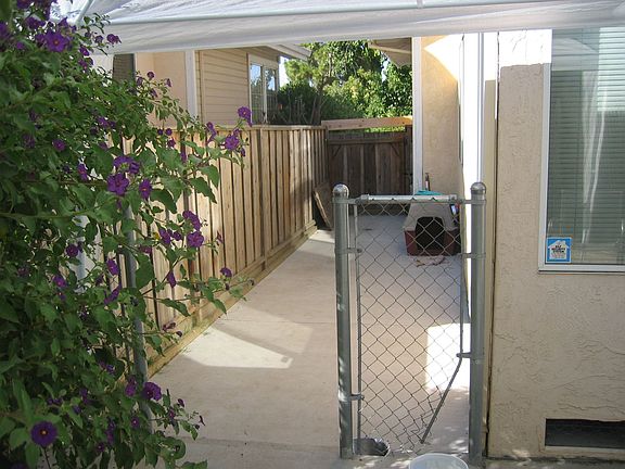 Concrete side yard/dog run