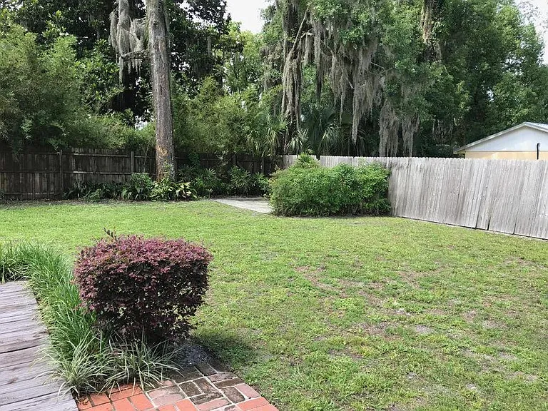 back yard
