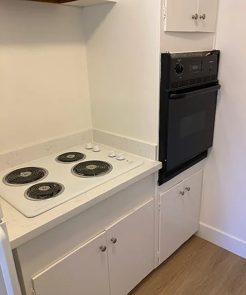 New electric cooktop and exhaust hood