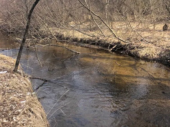 Creamery Rd, Kaleva, MI 49645