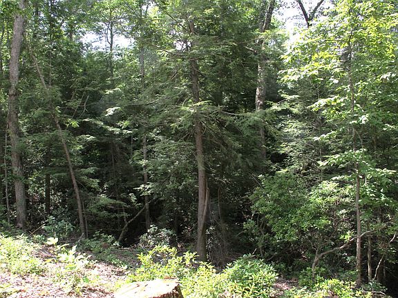 3rd image of 0 Meadow Dr Lot 62