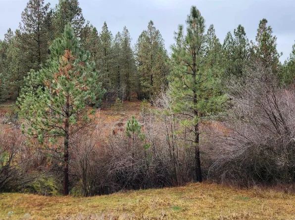 Cruickshank Rd, Banks, ID 83602