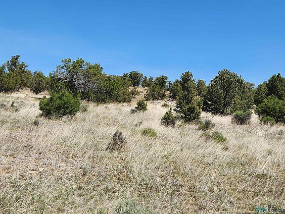 86 Ponderosa Ranches, Pie Town, NM 87827 | MLS #20233286 | Zillow