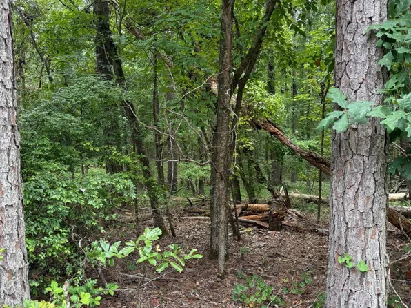 LOT 79 Island Creek Dr, Sparta, GA 31087