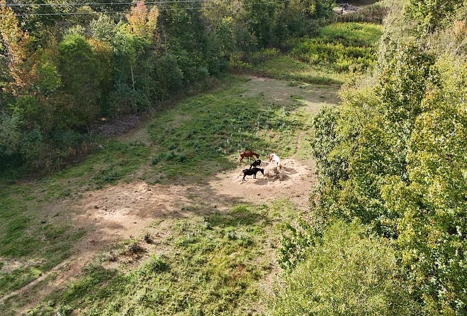 1st image of 184 Peaceful Place Rd