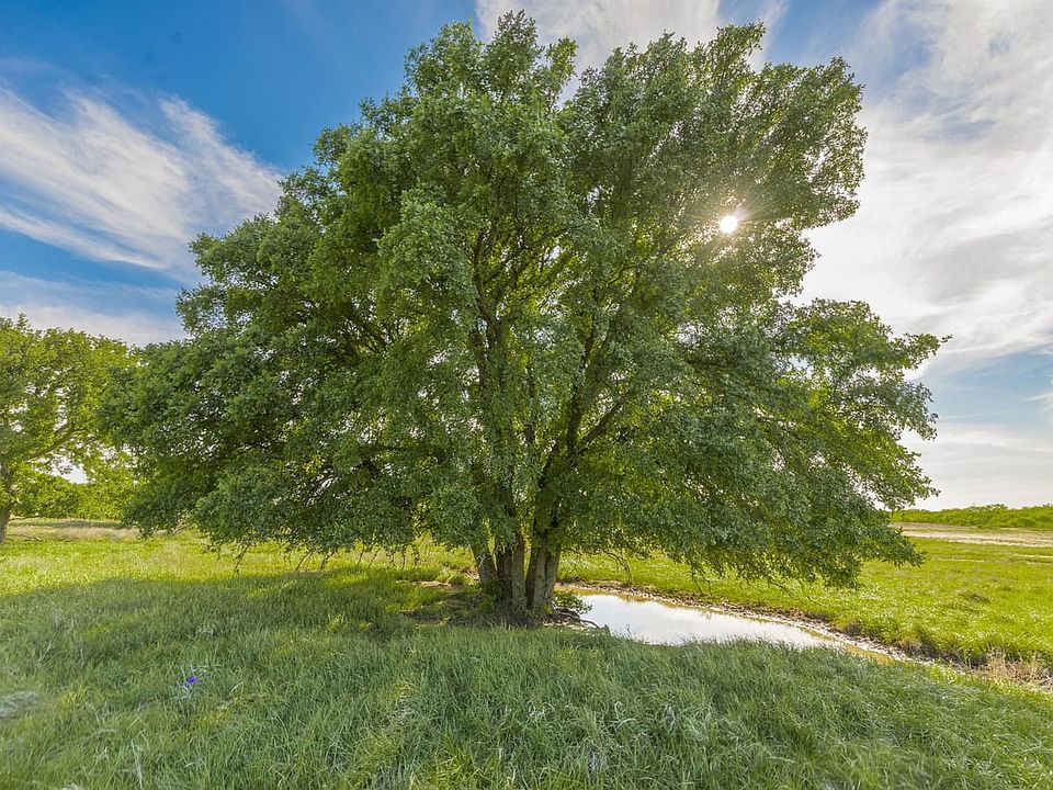  62a6856 Hdr