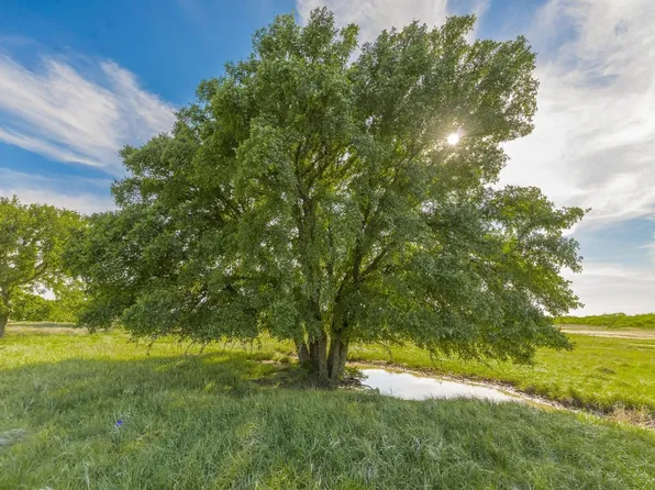 County Road 132 #&-123, Coleman, TX 76834