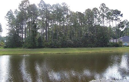 1st image of 209 Millers Branch Dr