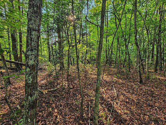 5th image of 547 Jamesview Rd
