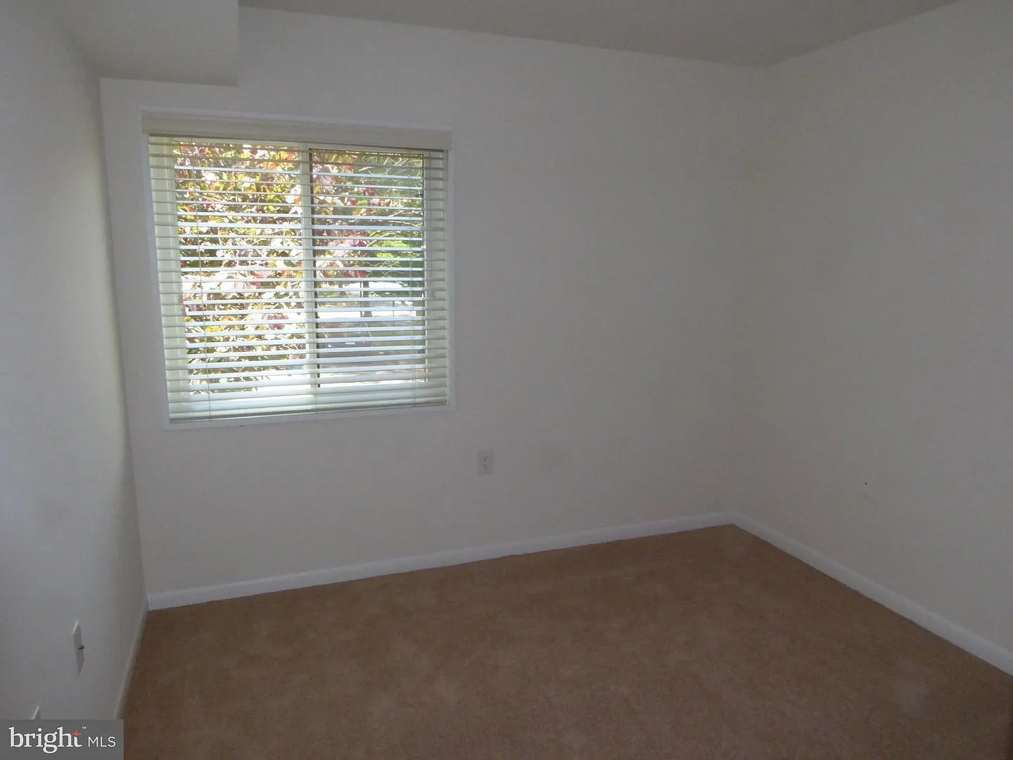 2 bed, 986 sqft, $2,295 — Photo 4