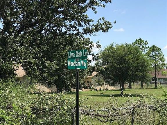 4th image of 313 Live Oak Ln