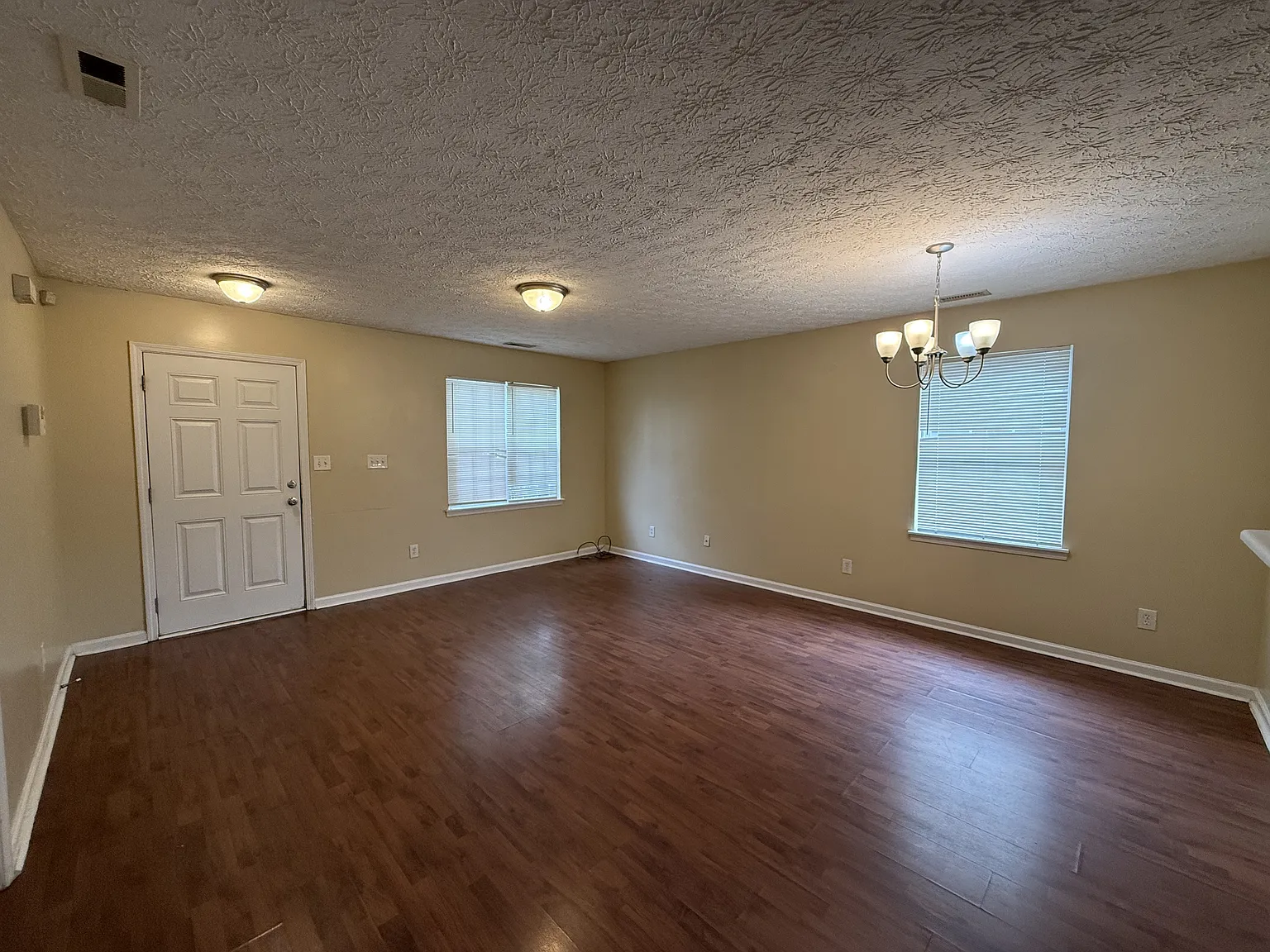 509 Cove Hollow Drive - 1 — Photo 3