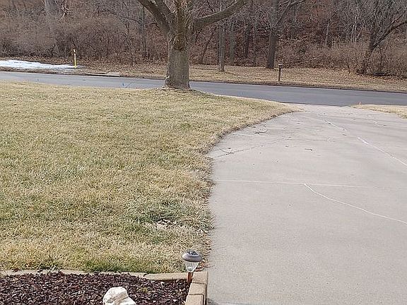 Wooded area across street