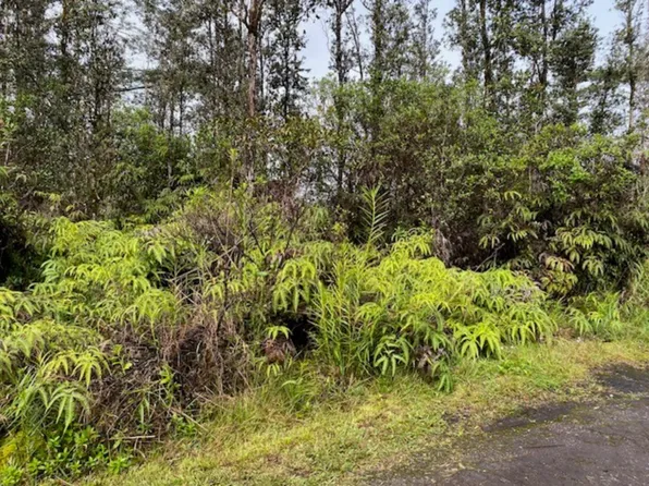 16-1564 PULELEHUA RD, Kurtistown, HI 96760