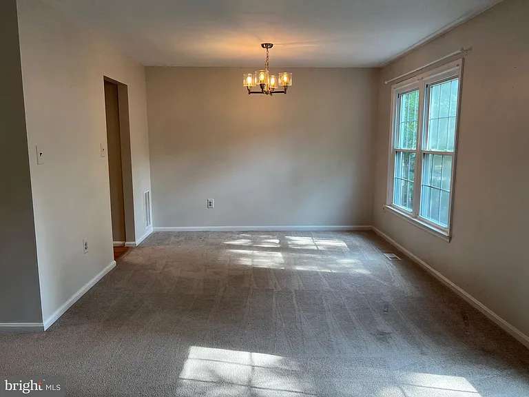 7384 Jiri Woods Ct — Photo 14