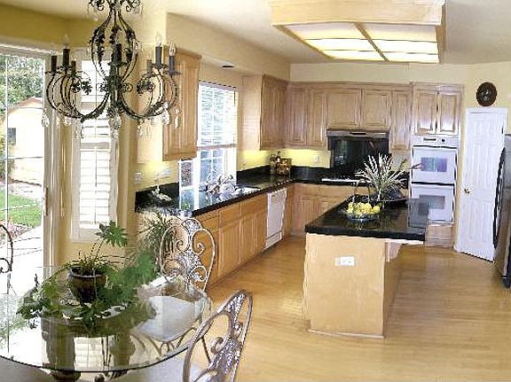 Large Gourmet Kitchen