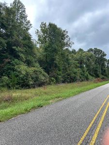 0 County Road 29, Evergreen, AL, 36401