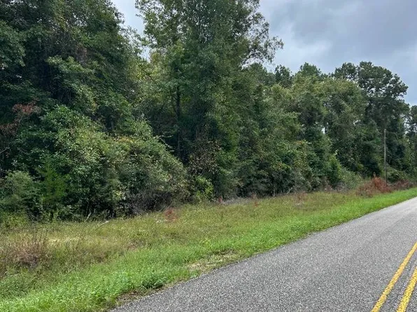 0 County Road 29, Evergreen, AL 36401