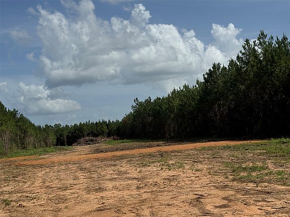 5th image of 345 Duff Rd